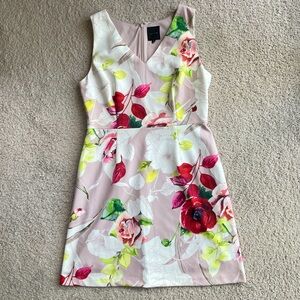 Alex Marie Floral Blush Pink Red White Green V-cut A-Line Mini Dress Size 14